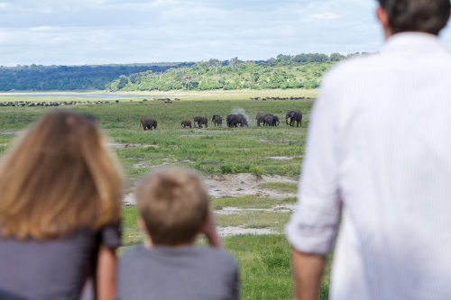 Chobe Game Lodge uitzicht olifanten